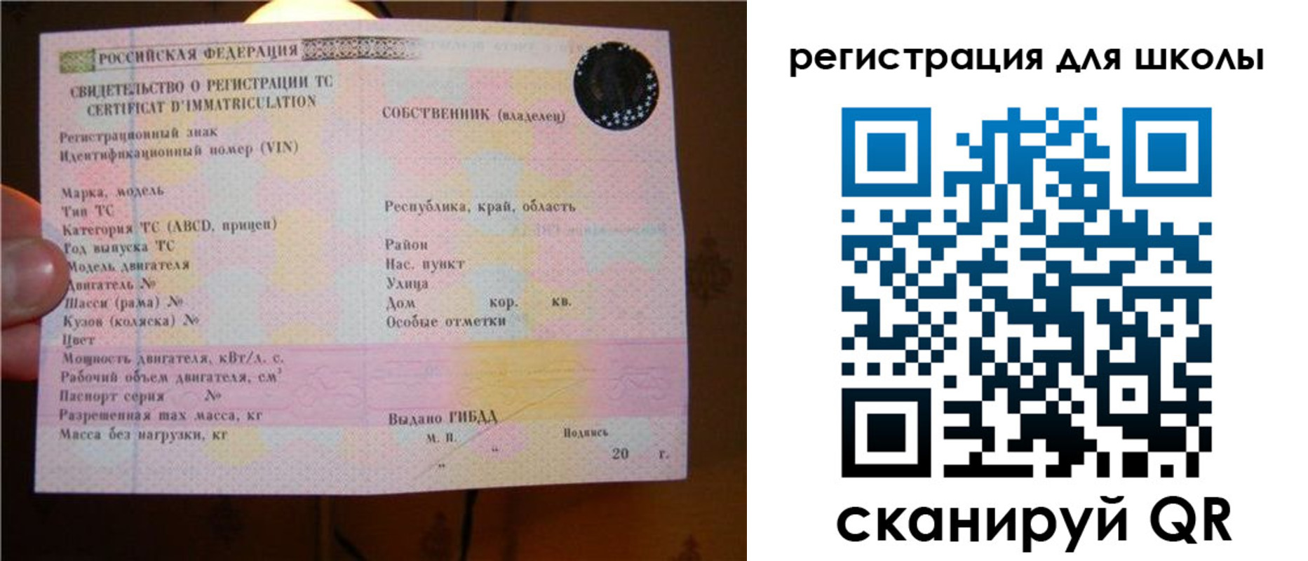 найти адрес прописки в Луге